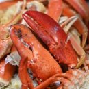 기장대게 이미지