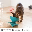 반려식탁 티스토리