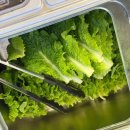 MEMBERSHIP POOL(멤버십풀) | [ 여수 글램핑 ] 여수 루미너스 글램핑 후기｜몸만 가도 완벽한 하루, 사계절 온수풀까지