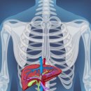 바디플렉스짐 공항시장역점 이미지
