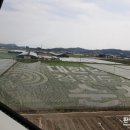 순천만 뜰 이미지