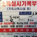 실상뜰 유정란 Daum카페