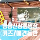 [하이웨이캠핑장] 경남 산청 신상 수영장, 모래놀이 키즈 캠핑장/ 재방문의사? 솔직후기