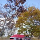 밀양아리랑 오토캠핑장 이미지