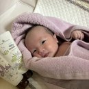 0개월 신생아 보타니컬테라피 리프세라 아기로션+아기크림+바스앤샴푸 솔직한 후기