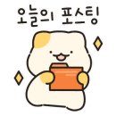 빛나냥 이미지