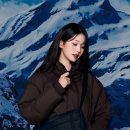 스타일 퍼피 이미지