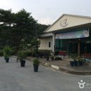 솔밭체육공원 오토캠핑장 이미지