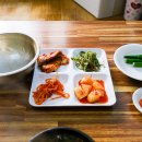 세원뼈다귀 이미지