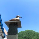 강촌구곡길 이미지