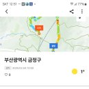 장대 이미지