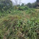 수곡면2 이미지