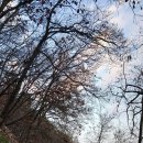 11월 23일 일요일 강원방 출석부!(마지막 가을 정취 담은 사진이 많아요. 즐감하시길요~) 이미지