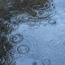 바디채널 대실점 이미지