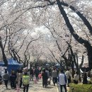 부천로354번길 이미지