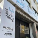 꽃보다개냥 이미지