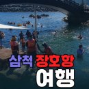 어반스테이103 | 삼척 장호항 스노클링, 투명카누 + 샤워, 주차, 평상꿀자리 공개![강원도 여행 추천]