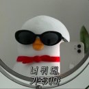 자연사 이미지