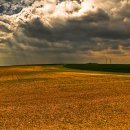 라이스앤케익 이미지