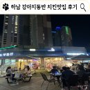 치킨89 | 하남미사 강아지 동반 치킨맛집 치킨89 내돈내산 후기