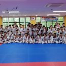 정무태권도 이미지