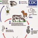 24시마음든든동물병원 이미지