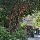 삼막골농원 이미지