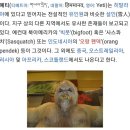 예씨(yessi)