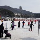 용평리조트 이미지