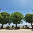 죽동농장 이미지