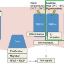 TJ메디칼 이미지