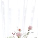 예화디자인 네이버블로그