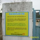 황룡초등학교 이미지