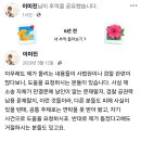 비디엘브이