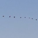 서호공원 이미지