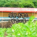 밀양 빨간지붕 이미지