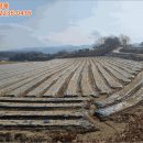 고평리 마을회관 이미지