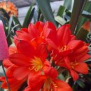 천운농장-2 이미지