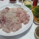 바다쪼개 이미지