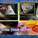 삼방낚시터 이미지