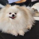 천산카페 이미지