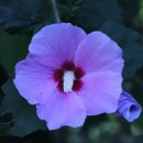 반송동183 이미지