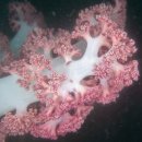 남해-309 이미지