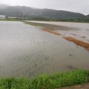 보성축산(주) 이미지