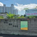 푸른솔유치원 | 송학동도시재생 푸른솔 도시농업체험장&amp;반려식물동아리 방문 후기