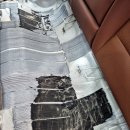 일급세차장 | 부산 자동차 휘발유 석유 기름 등유 냄새 제거 특수 실내 클리닝