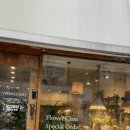 수플라워 | 일상의 무드를 바꿔주는 마법 ✨ ‘나무수플라워앤가든’ 꽃다발 픽업 후기