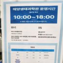 서울해양수족관 | 시흥시 거북섬 아이와 가볼만한곳 오이도 해양생태과학관(주차정보 입장료) 방문후기