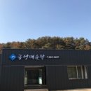 금성매운탕