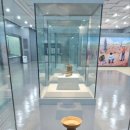 충남대학교박물관 이미지